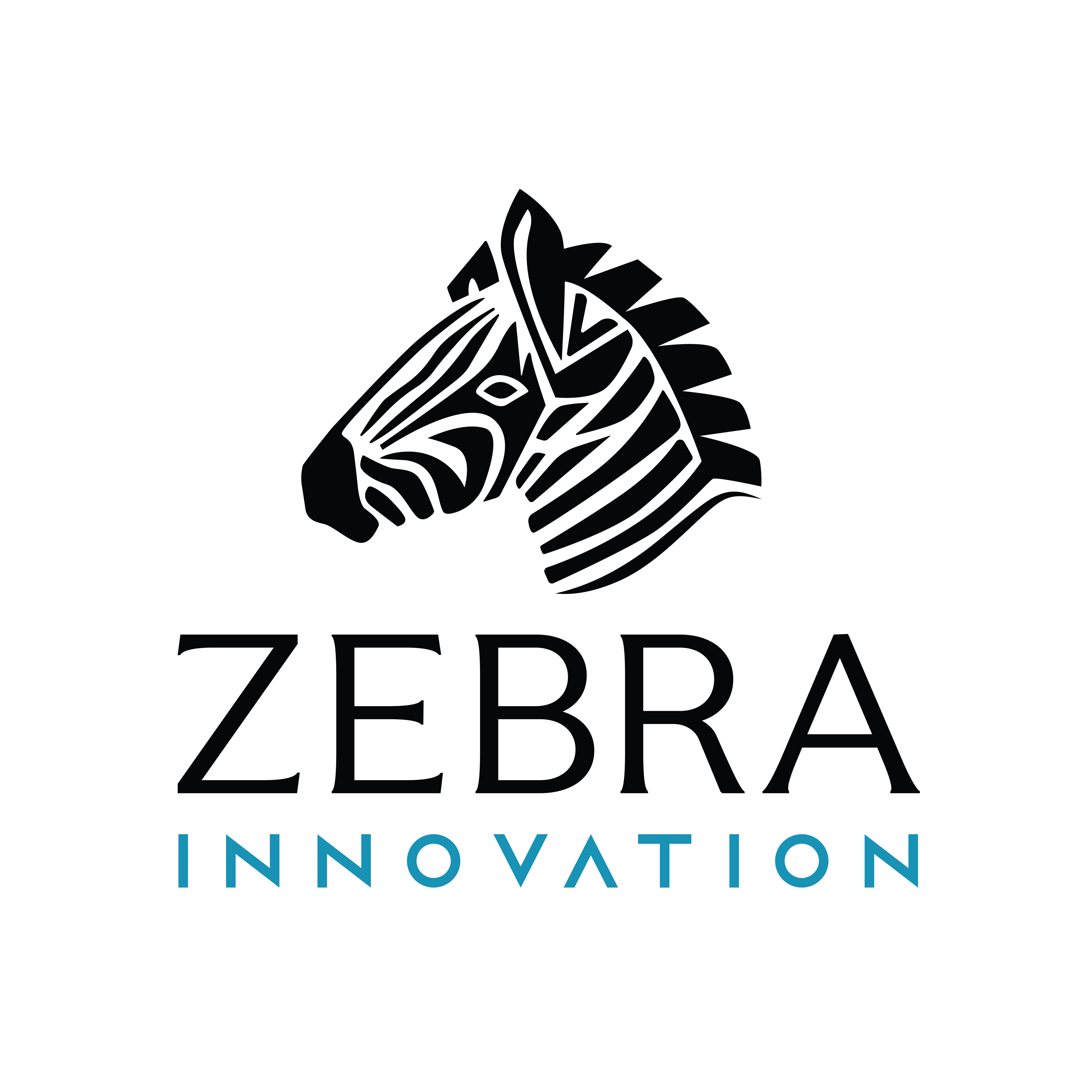 Zebra Innovation